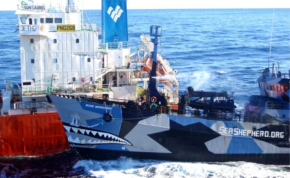 日本の捕鯨船 南極海に向けあす出港 - BBCニュース