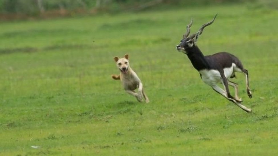 Chukchi ayolni sikadi Yosh nudist porno