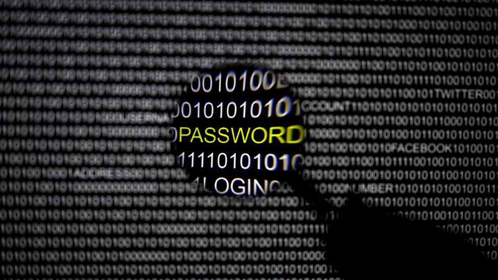 Ajoyib xonimning ajoyib mushuki video