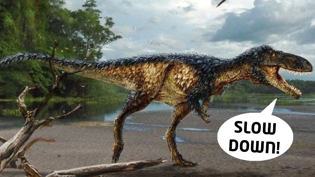 Top Tyrannosaurus rex facts - CBBC Newsround