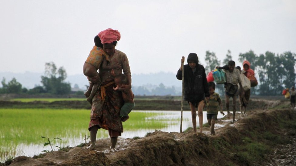 rohingya