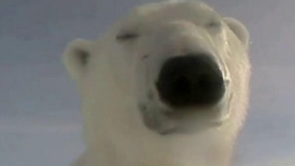 Rossiyalik pikap rassomlari ishtirokidagi toliq metrajli porno Biseksuallar on Vacation ni onlayn tomosha qiling