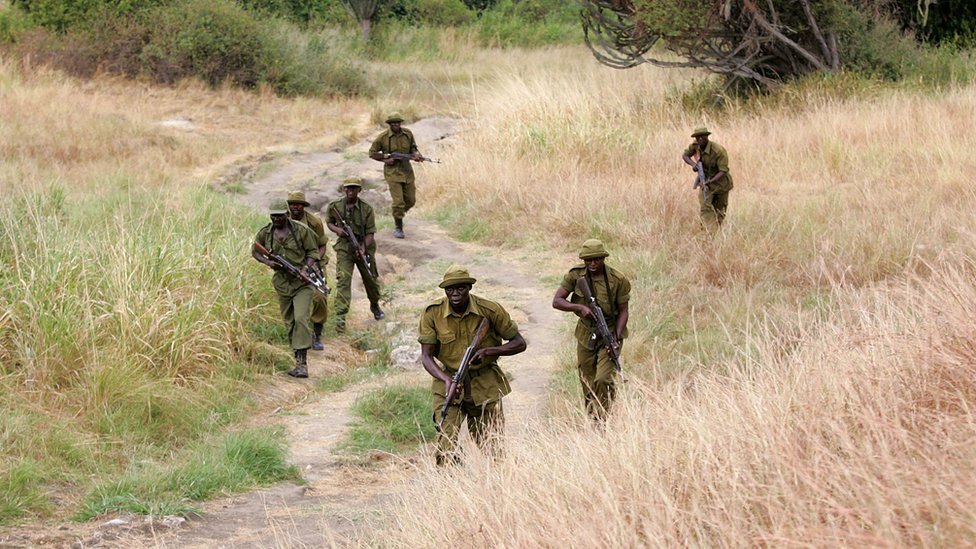 Poachers Kill Three Park Rangers And An Army Officer In DRC BBC News