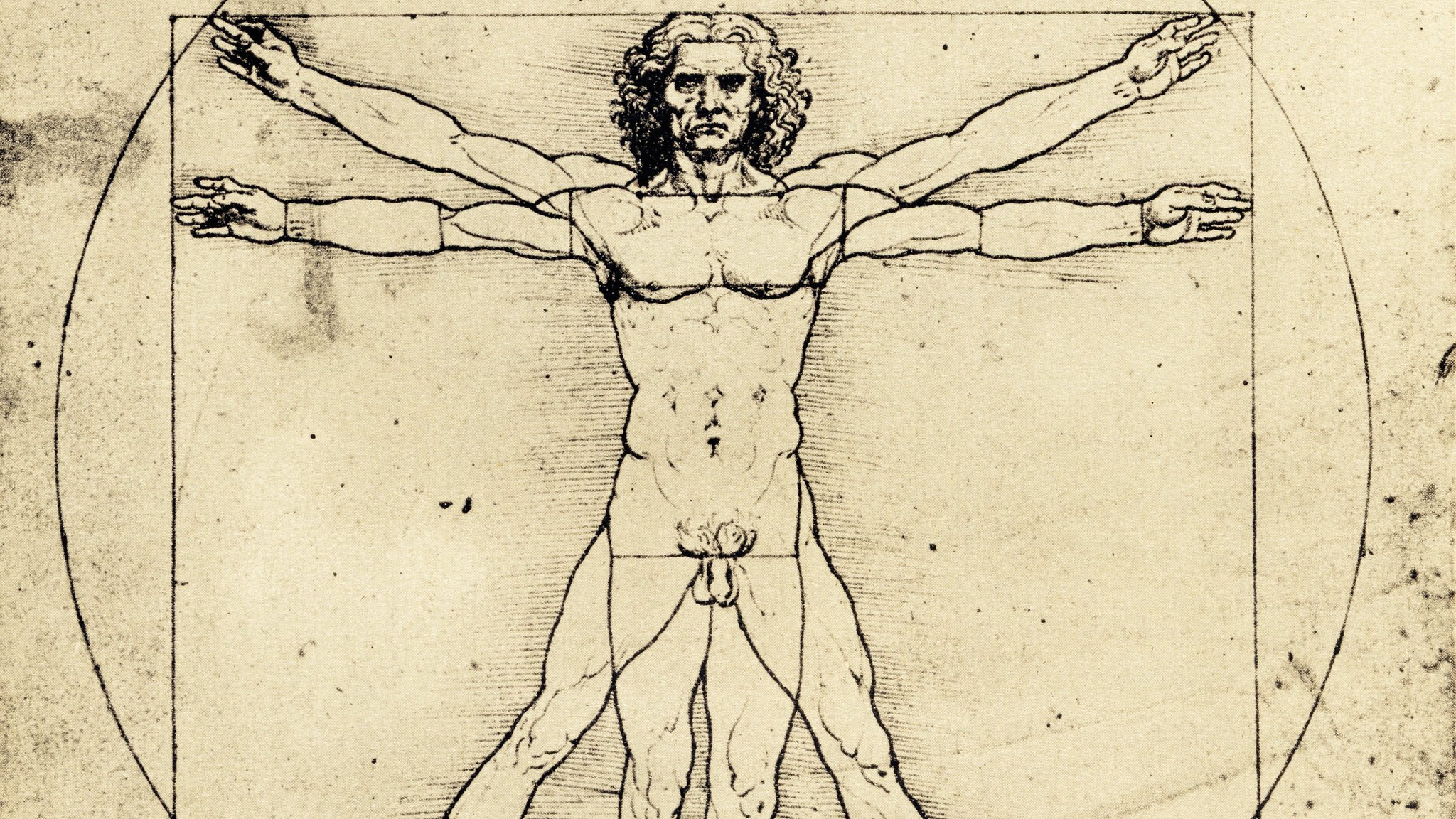 Inhibir huella dactilar Nunca 4 intentos por ilustrar las "proporciones ideales" del cuerpo humano (y  cómo Leonardo da Vinci llegó al "dibujo más famoso del mundo") - BBC News  Mundo
