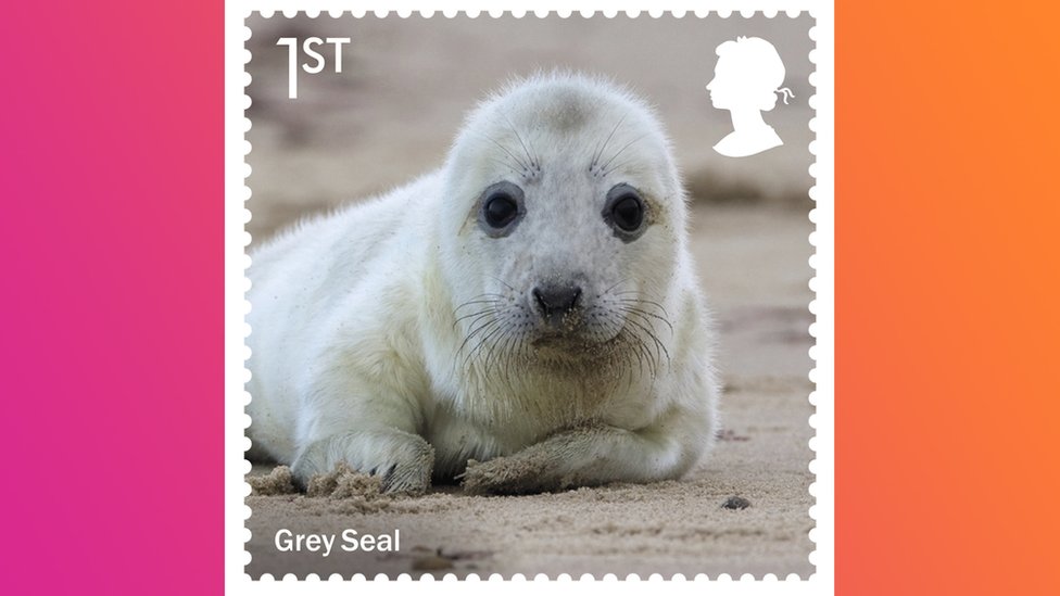 Royal Mail: New stamp collection to highlight marine life - CBBC Newsround
