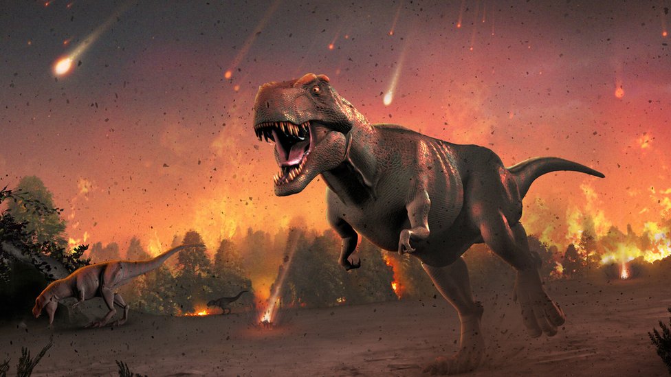 Отчего вымерли динозавры? Ученые хотят поставить точку в многолетнем споре  - BBC News Русская служба
