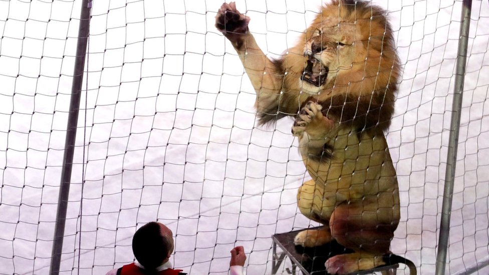 Североморск жезөкшелерінің телефондары