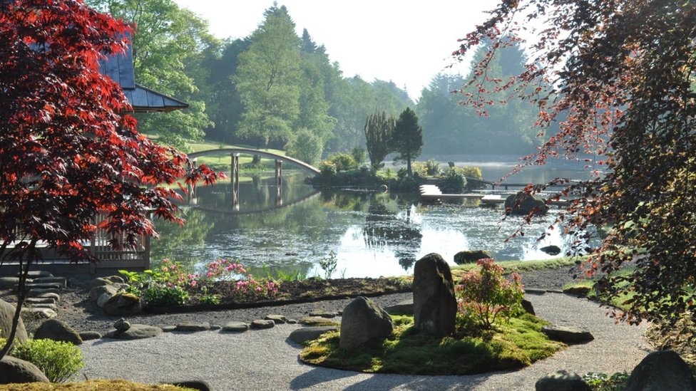 ガーデンオブレイン Japanese garden nestling in Ochil Hills brought 'back to life