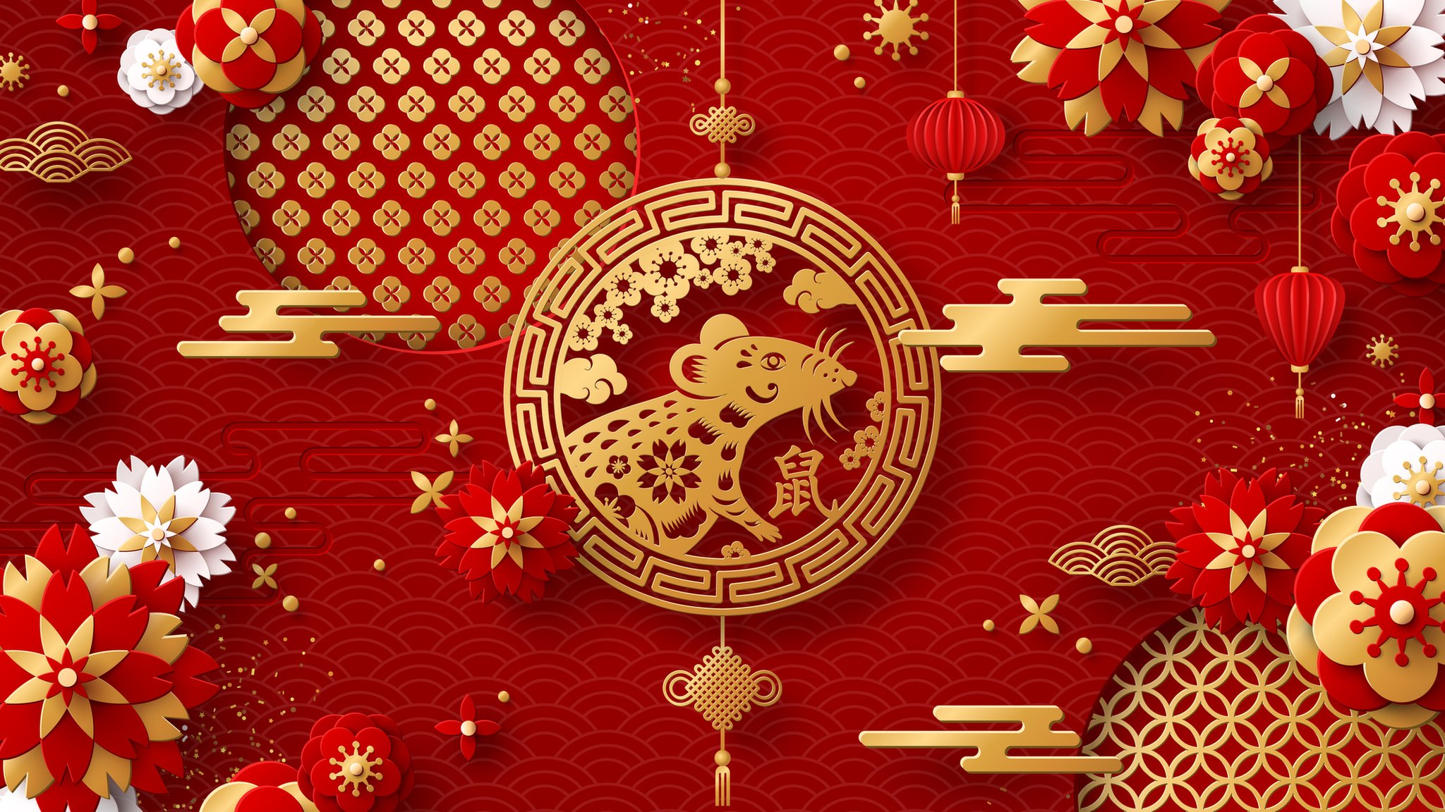 cbbc chinese new year newsround