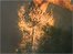 VIDEO: California fires continue to surge