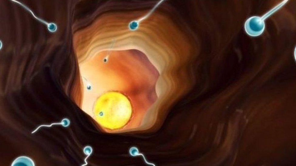 Keksa xonimlar eshaklarida sperma olishadi