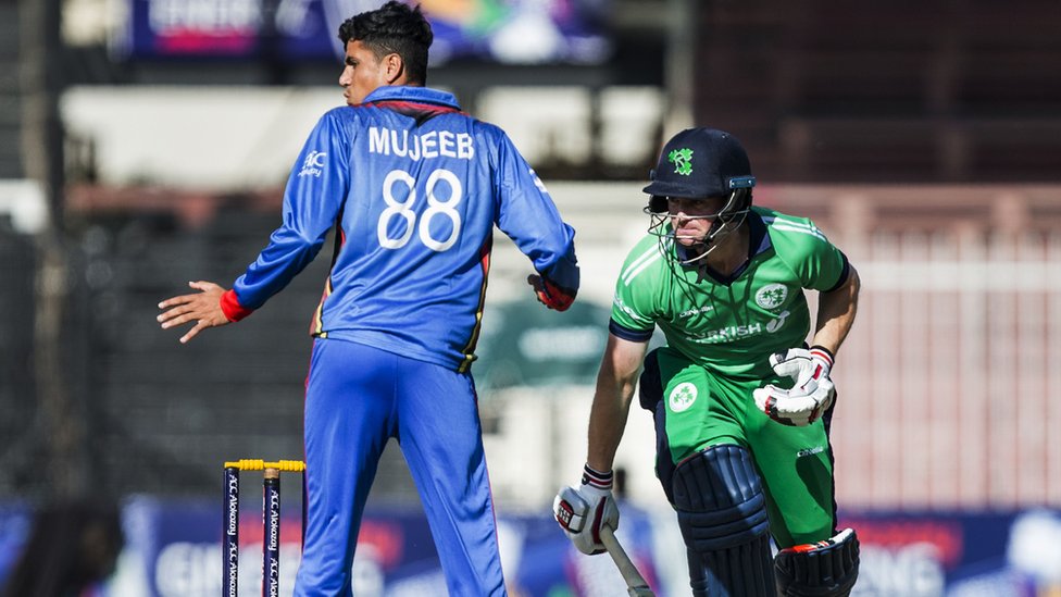 Фистинг анальді дилдо