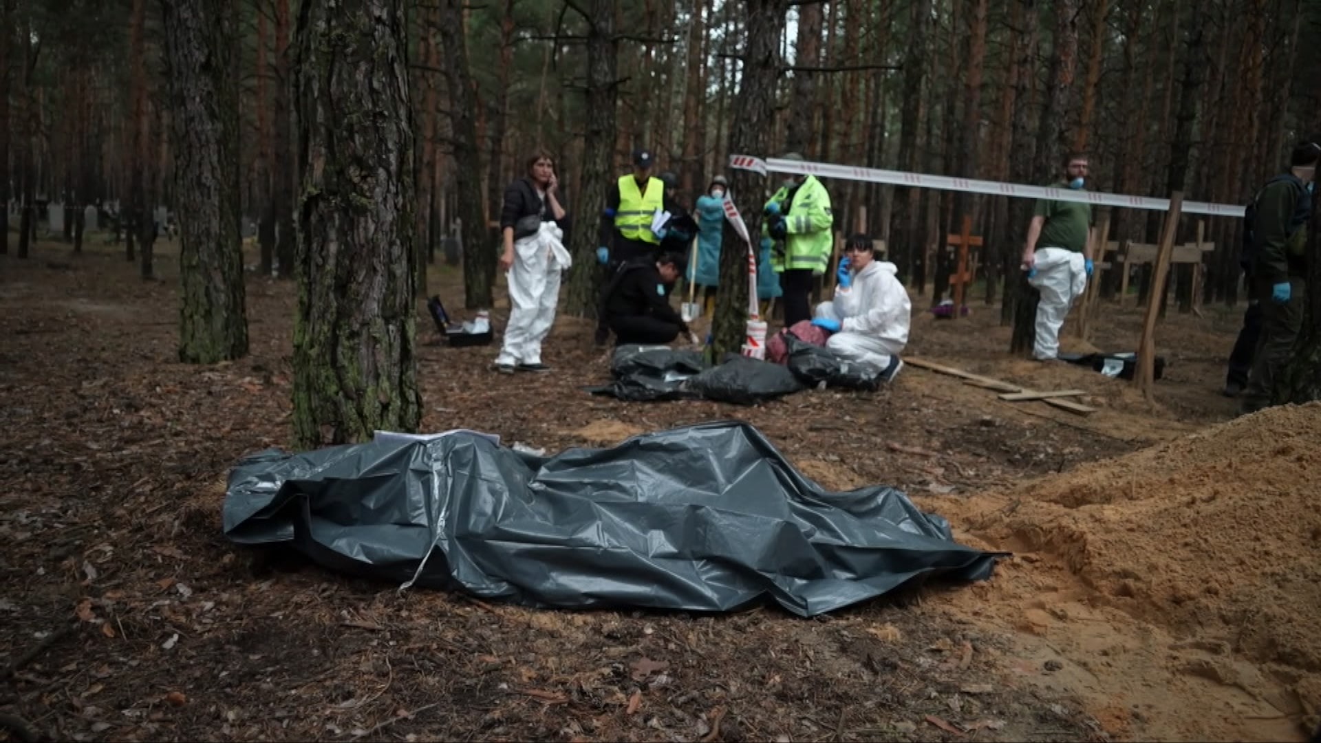 Lisa Annning it uslubidagi fotosurati