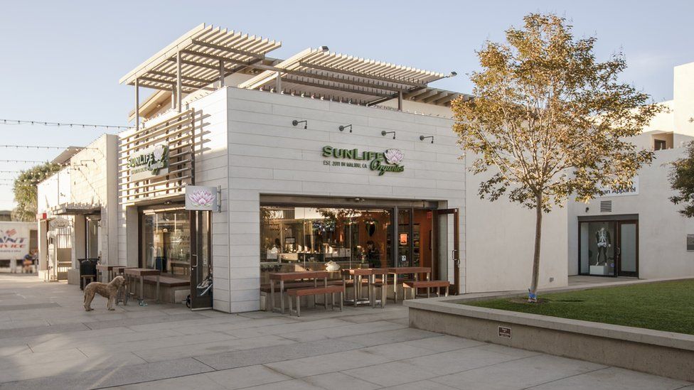 Perusahaan Sunlife Organics akan mendirikan berbagai cabang penjualannya di 16 negara bagian AS serta memperluas usahanya ke luar negeri, yaitu Jepang.