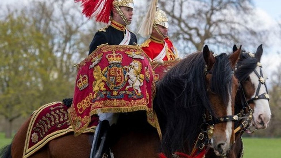 Meet the 800kg horse starring at King's coronation