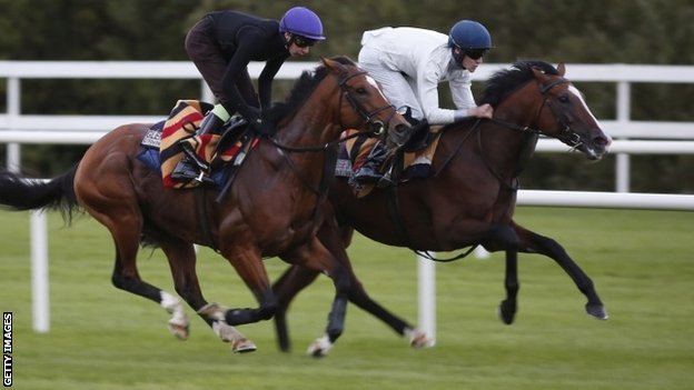 Gleneagles, left, in a racecourse gallop at Leopardstown last month