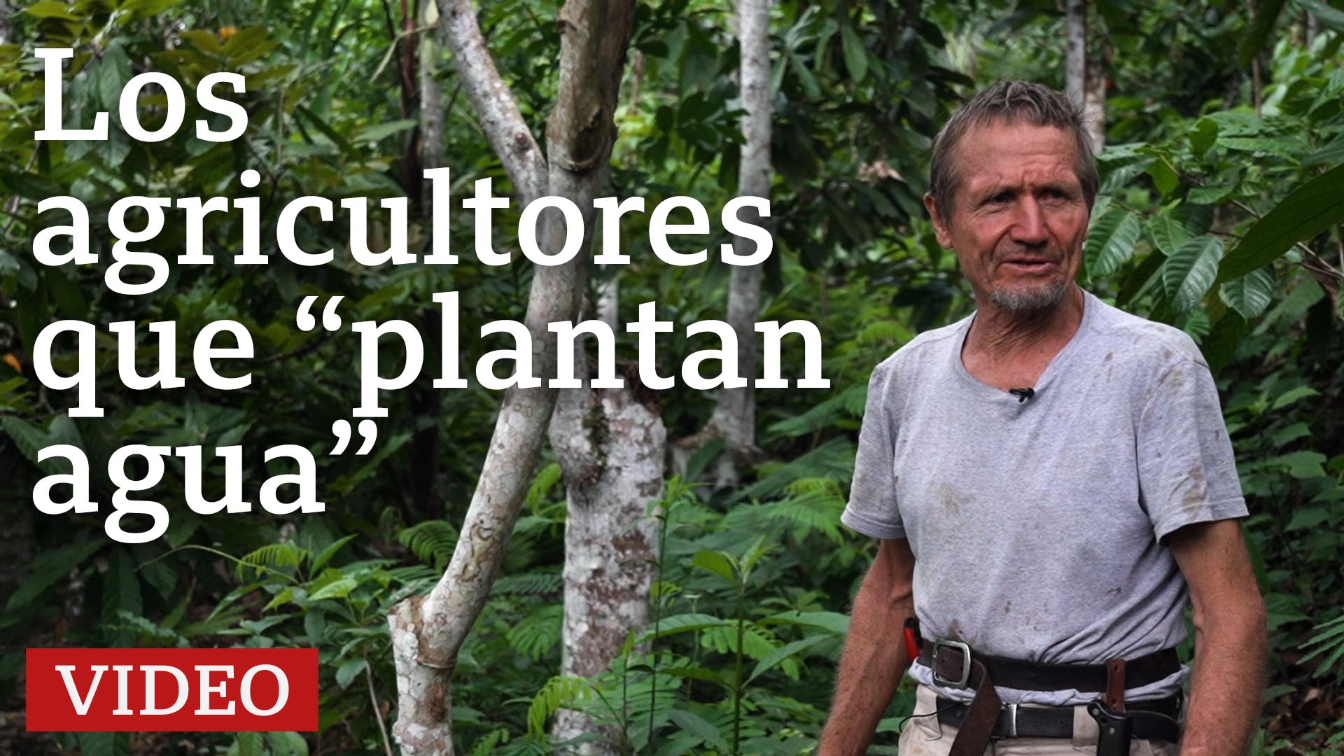 Los agricultores que convirtieron un desierto en un bosque - BBC News Mundo