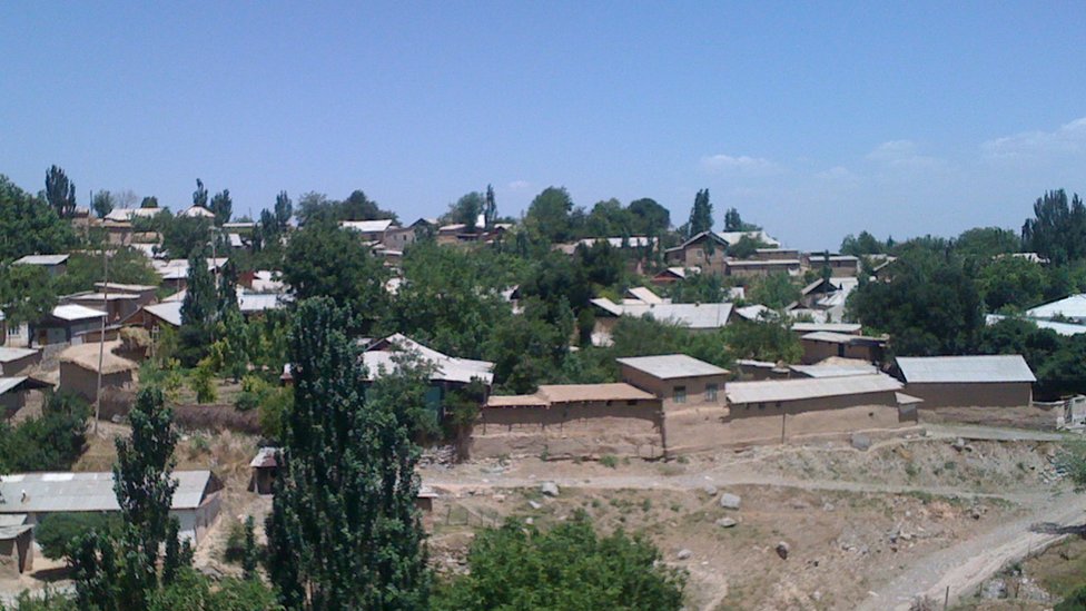 Orqadan yalangoch qizlarning shaxsiy fotosuratlari