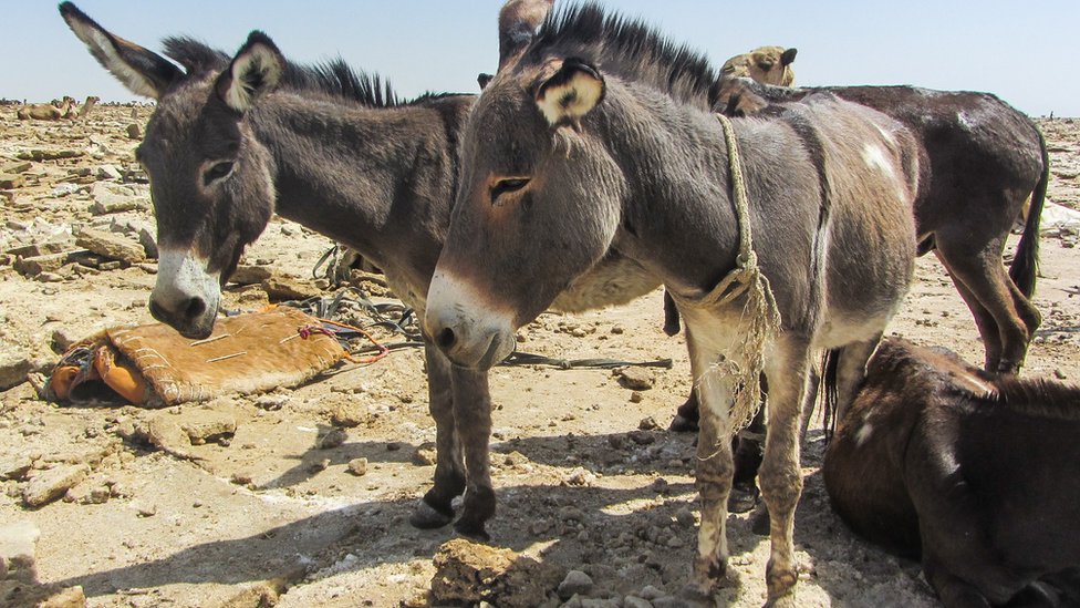 Kundalik hayotda erotik rasmlar Samira jinsiy aloqada