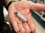 'Laughing gas' party teenager dies