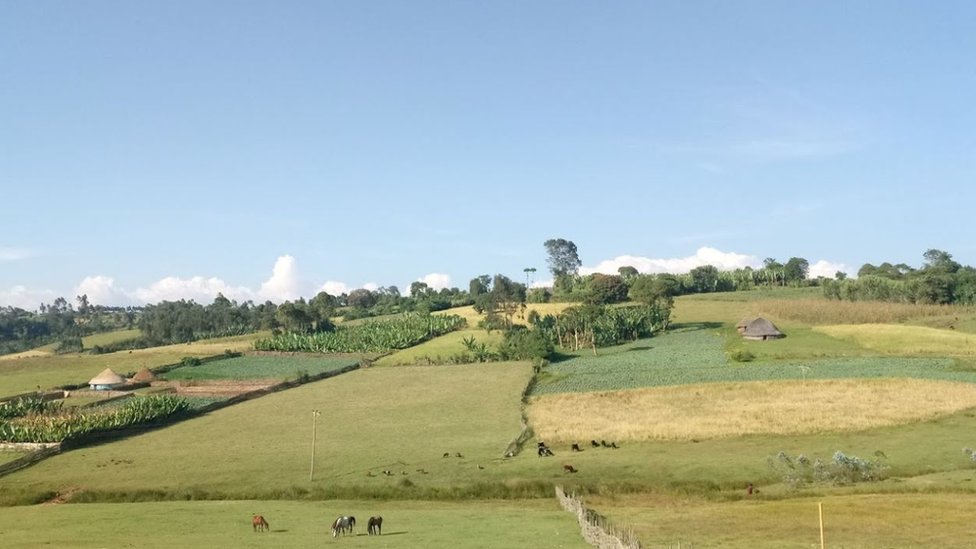 Katya Guseva yalangoch