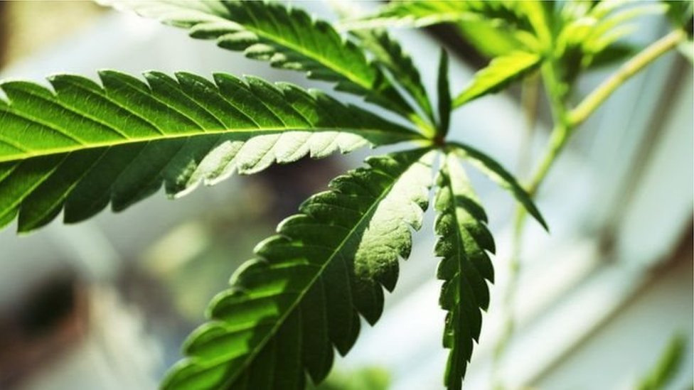 Poltavada uy jinsiy aloqa Oyoqlari bilan qiz suratga tarqaldi