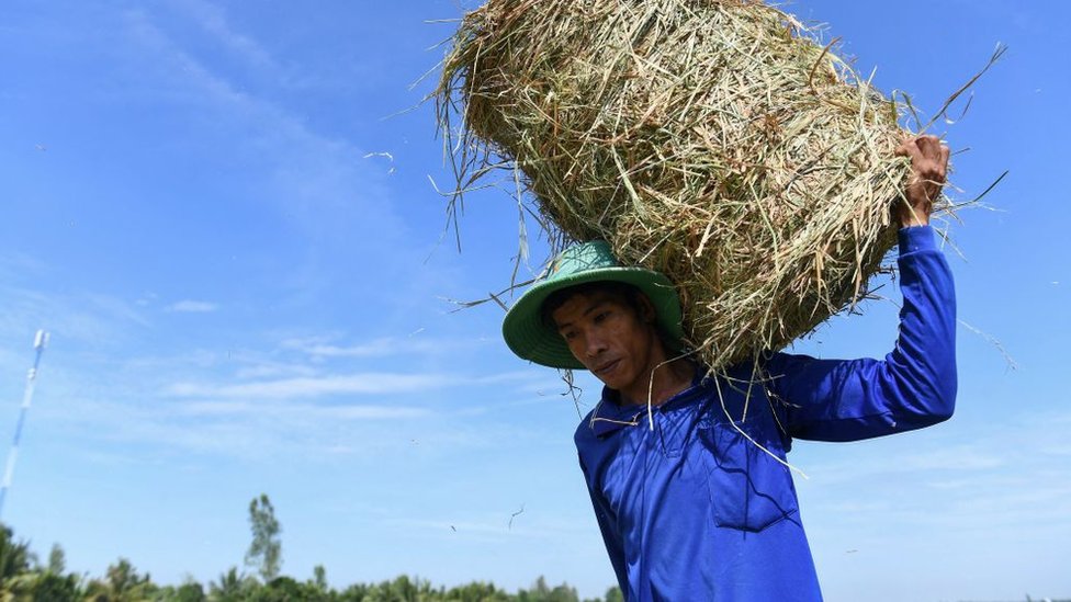 Vietnam records highest-ever temperature of 44.1C