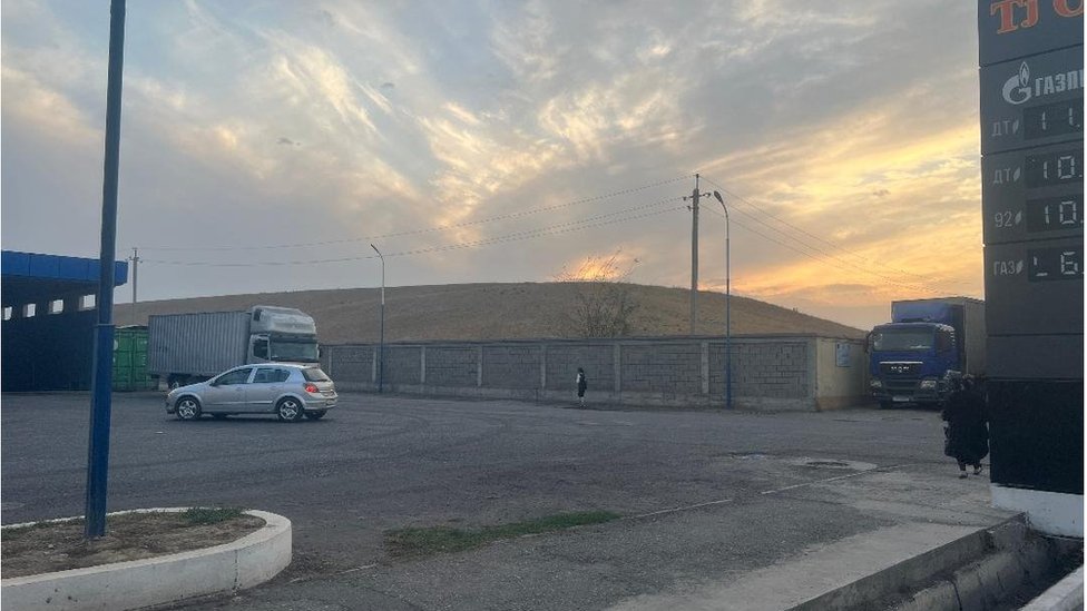 külotlu çorap orqali mushuk surati