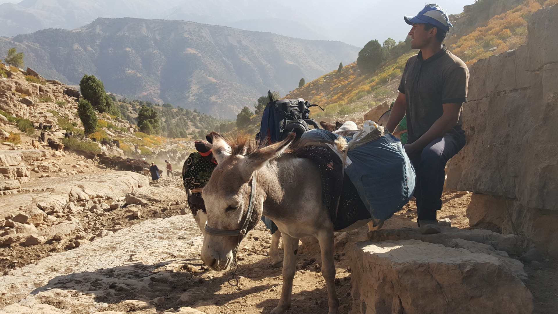 külot orqali jinsiy aloqada bolgan qizlar