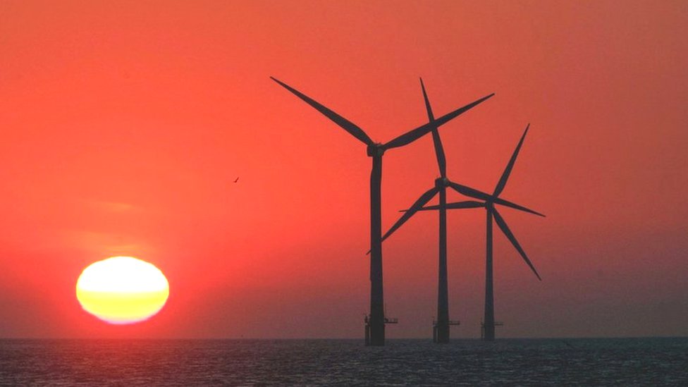 Turbina eólica de Madera promete ser la más ecológica del mundo