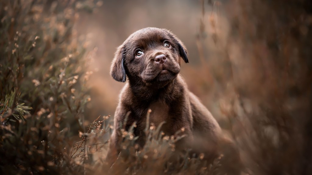 Кубадағы секс саяхаттары