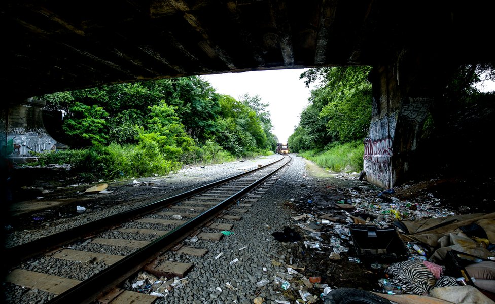 El tren se aproxima y a los costados se ve