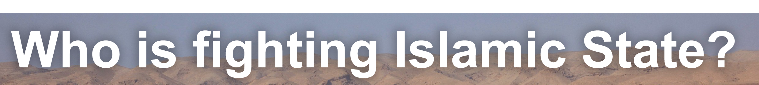 Who is fighting Islamic State?