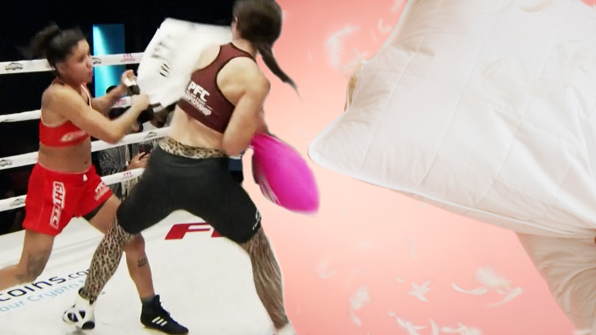 Pillow Fighting Championship Competitors battle with pillows CBBC