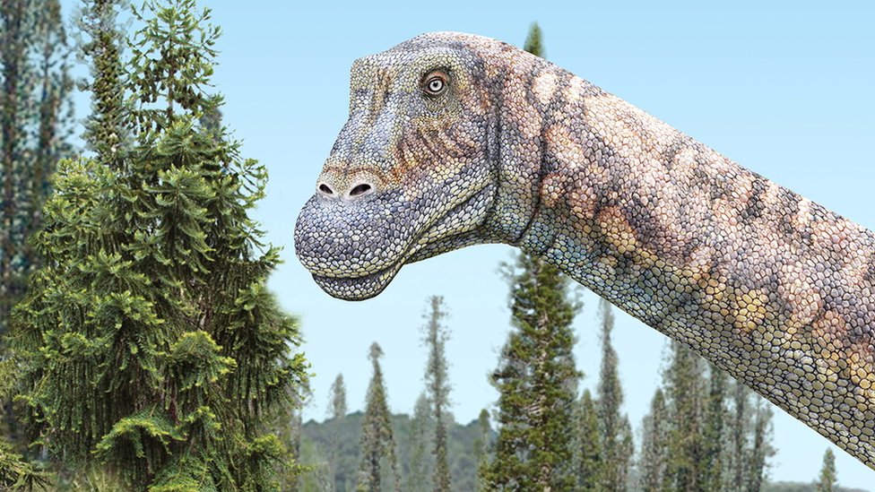 El misterio de cómo tenían sexo los dinosaurios - BBC News Mundo