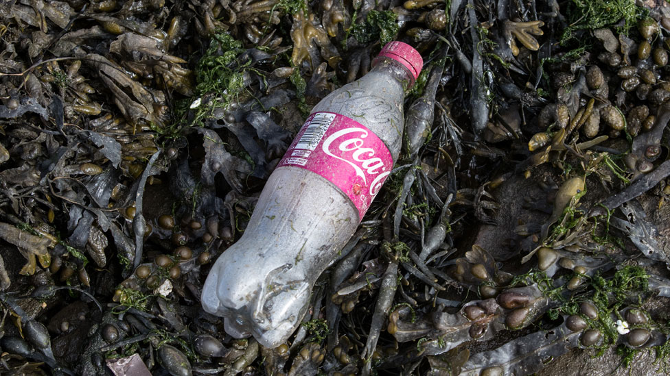 Los envases de plástico ofrecen algunos beneficios pero también son una fuente enorme de contaminación.