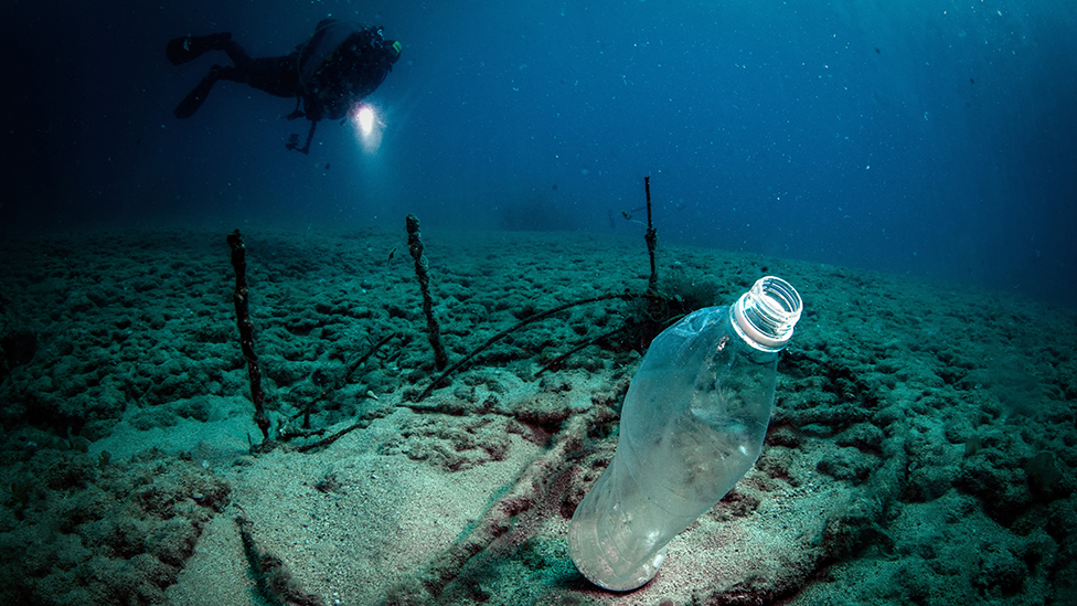 カナダ、使い捨てプラスチックを禁止へ 早ければ2021年にも - BBCニュース