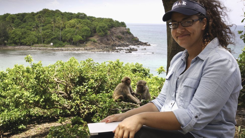 Laurie Santos estudiando monos.