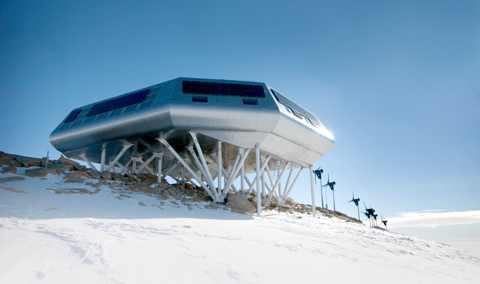 Жас кискадағы сперматозоидтар