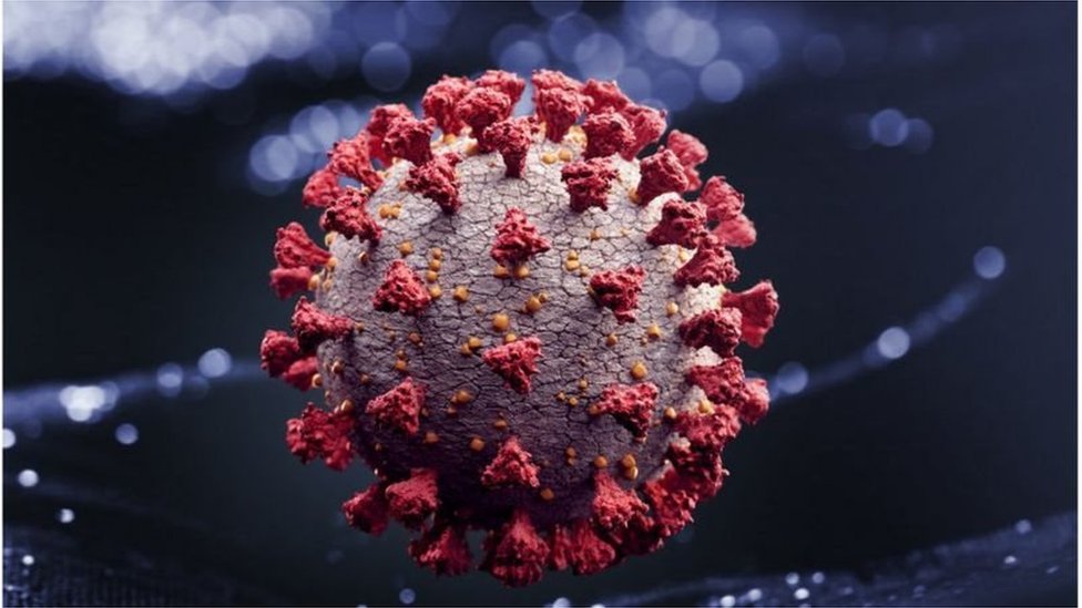 Yalangoch erkak jinsiy olatni fotosurati