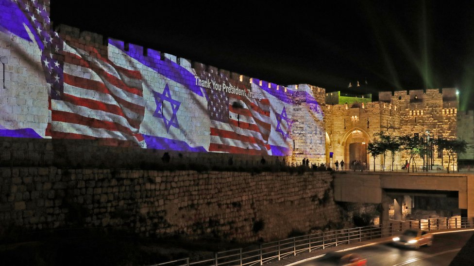 Qin ichidagi jinsiy olatni diagrammasi