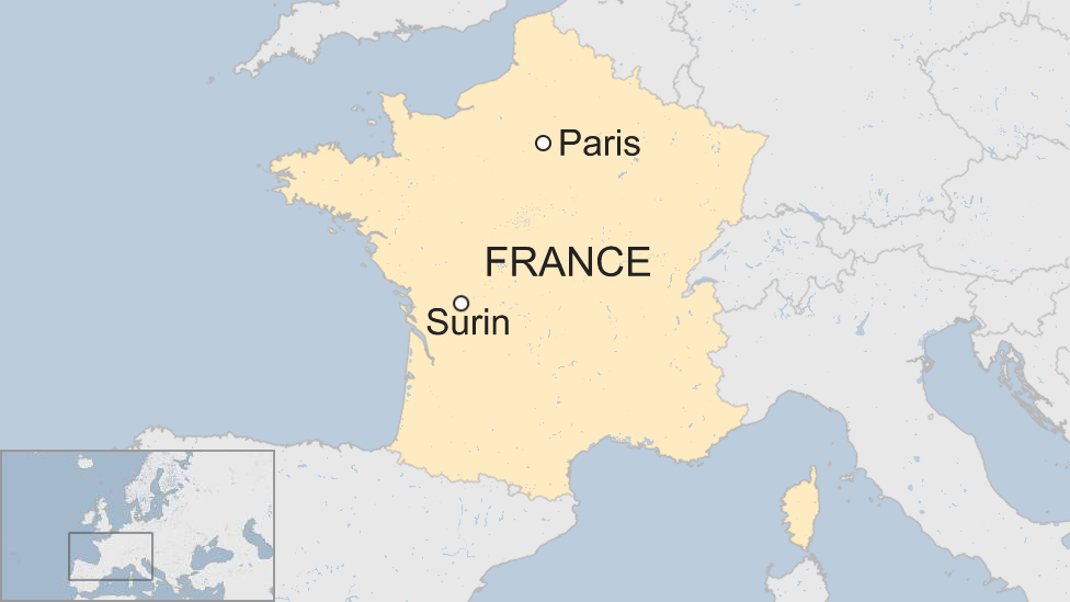 UK 'thief' held in woods hideout in France