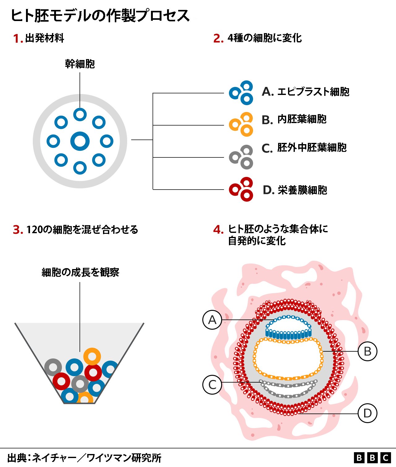 マメ Best of Best Pass | PDF