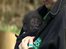 VIDEO: How do you bring up a baby gorilla?
