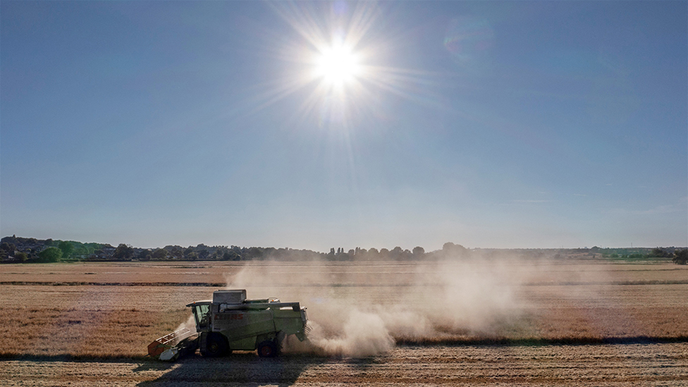 Met Office forecasts 2023 will be hotter than 2022