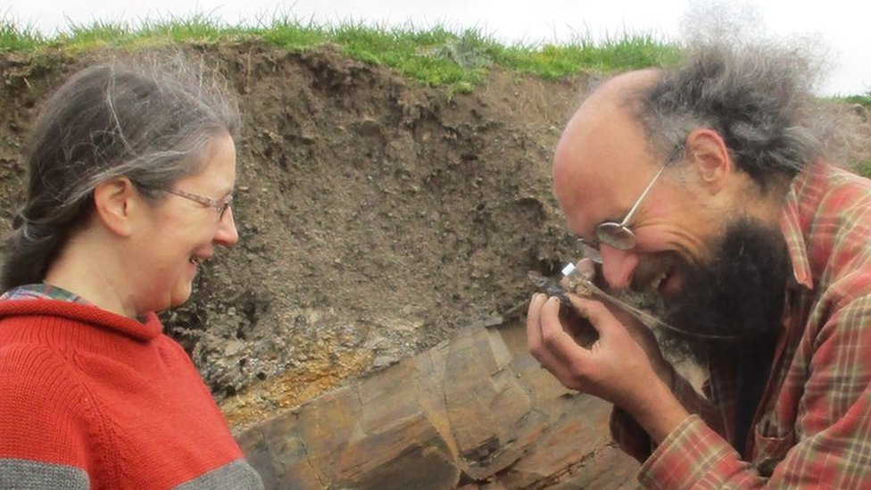'Very rare' fossils found with crowdfunded help