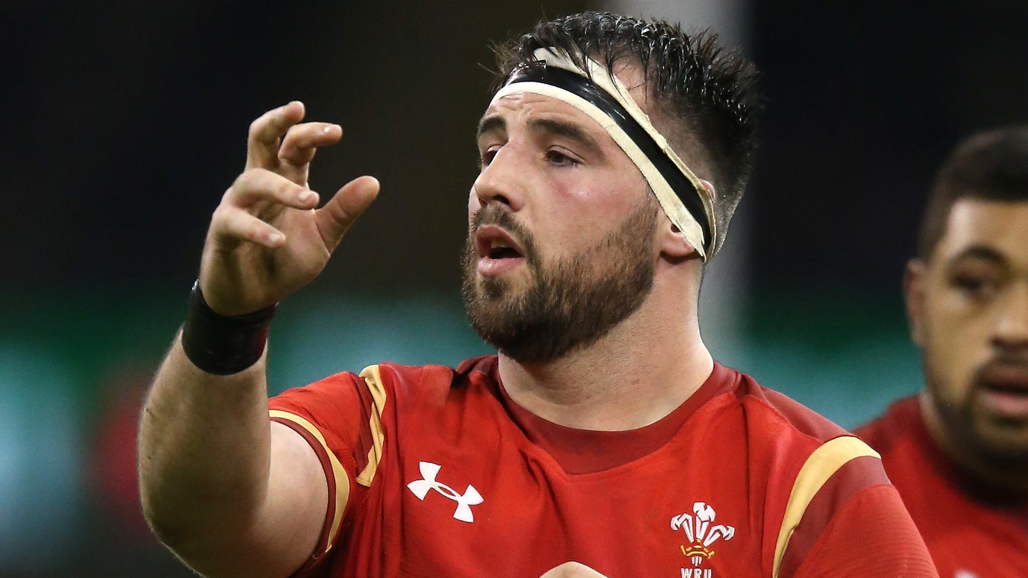 Rugby star feared for hand after lion bite