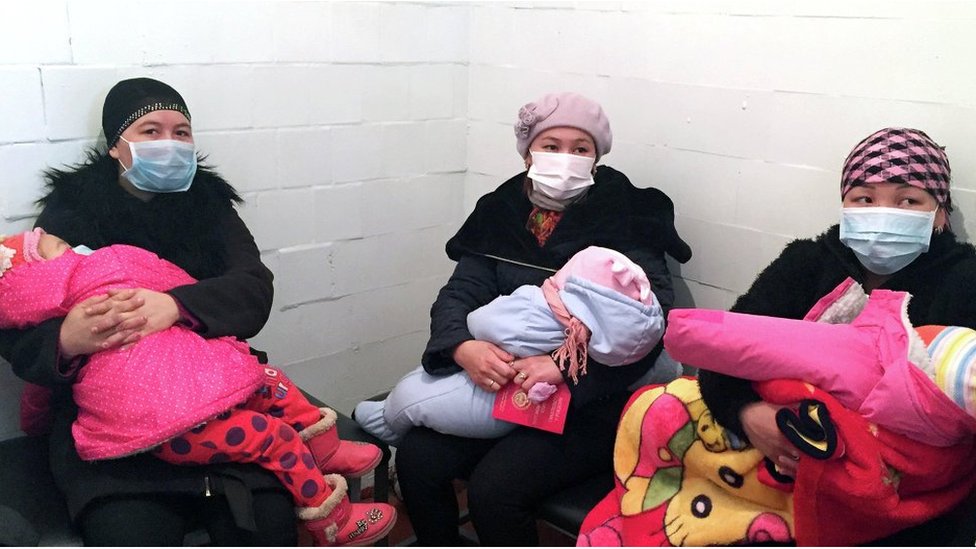 Омномном кисканың фотосы