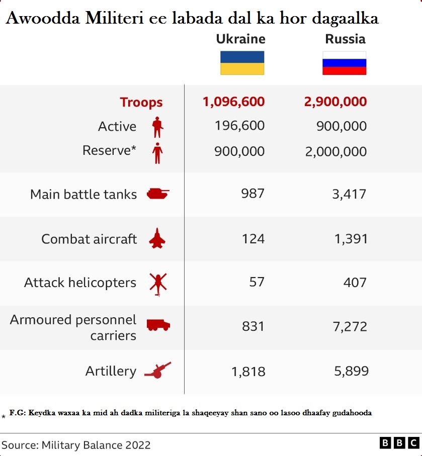 Kontslager porno videolar