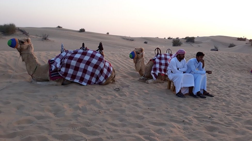 Догги стиліндегі мини юбка киген қыздар